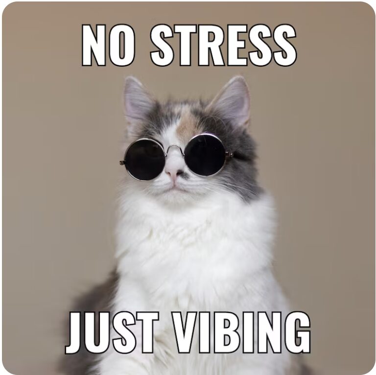 No stress, just vibing